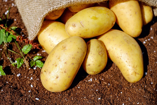 Prodeji brambor přes Internet se daří